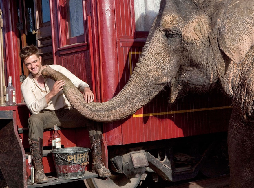 Water for Elephants, Robert Pattinson